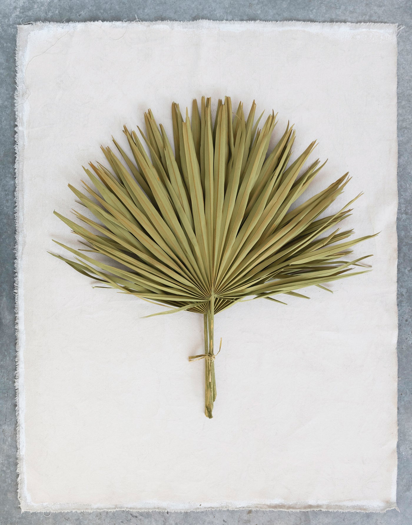 Dried Palm Leaf Bunch, Green