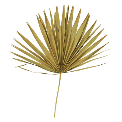 Dried Palm Leaf Bunch, Green