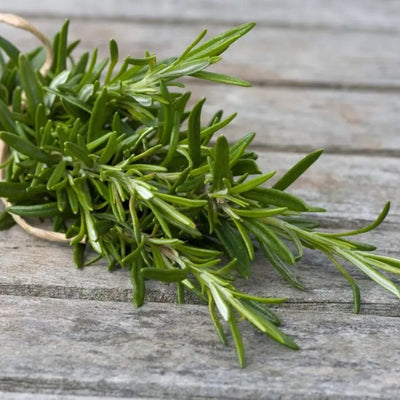 HERB - Rosemary