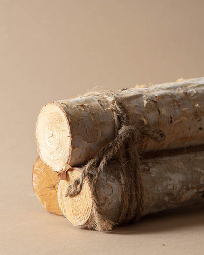 Birch Log Bundle