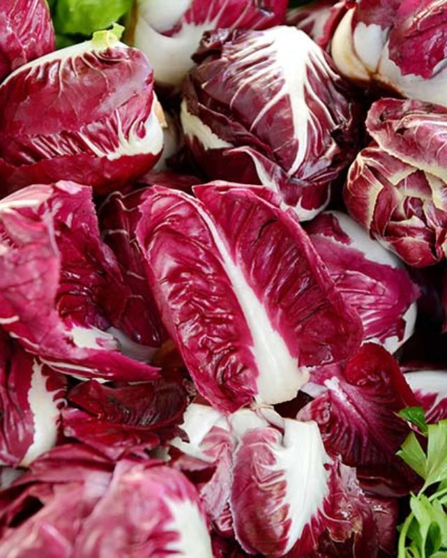 Taste of Italy™ - Radicchio