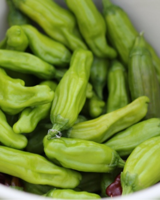 Taste of Italy™ - Pepper - Pepperoncini