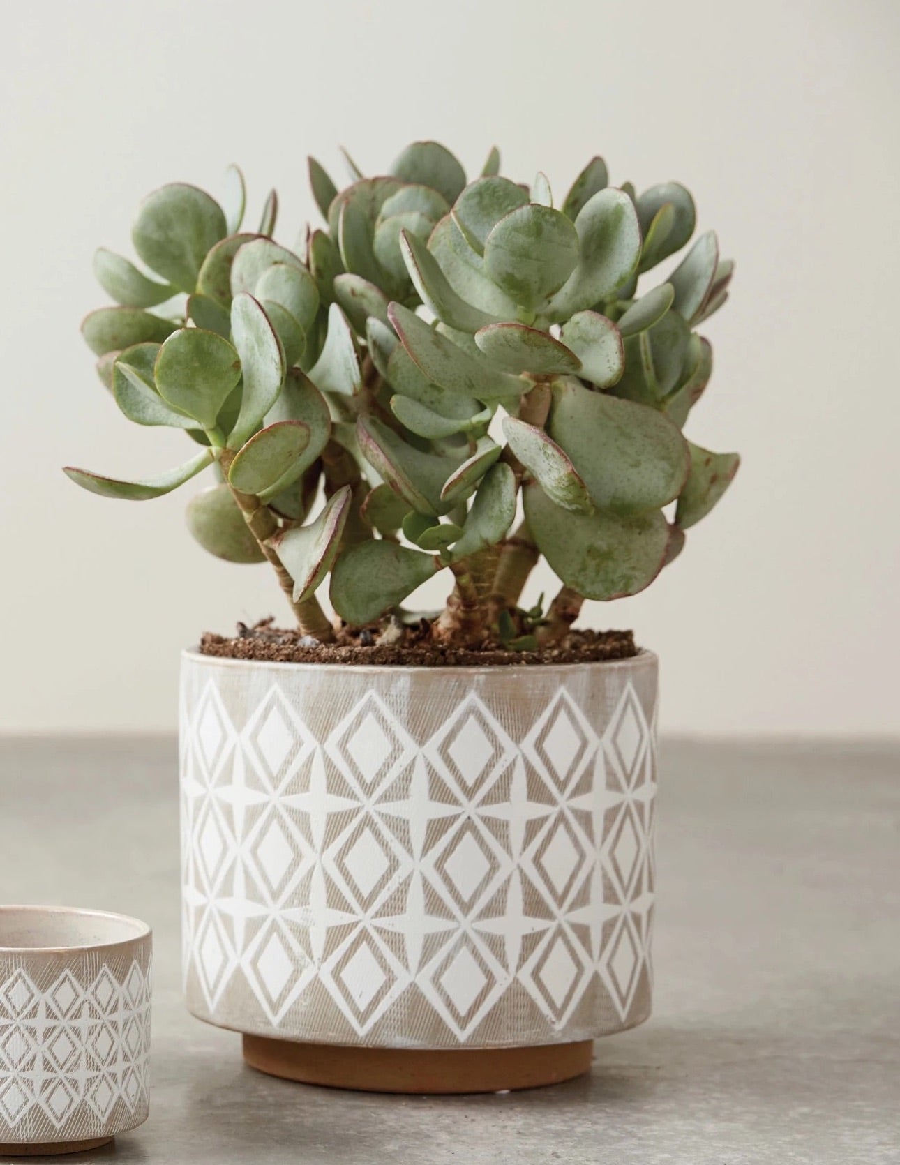 Stoneware Planter w/ White Pattern, 8"