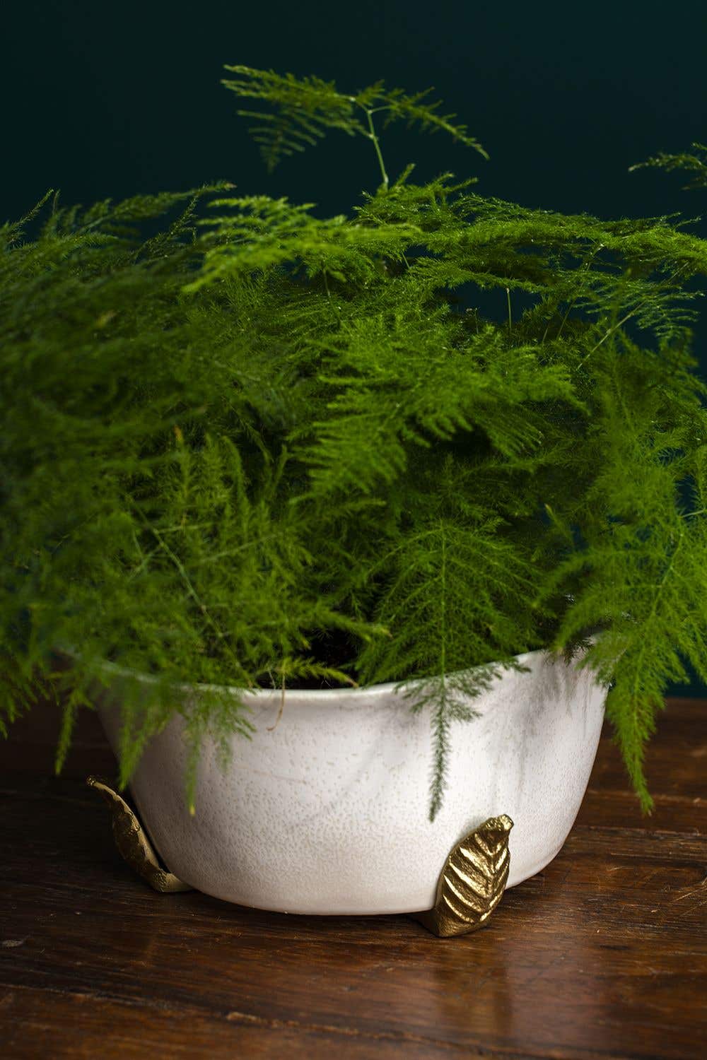 Jarrah Pot Feet