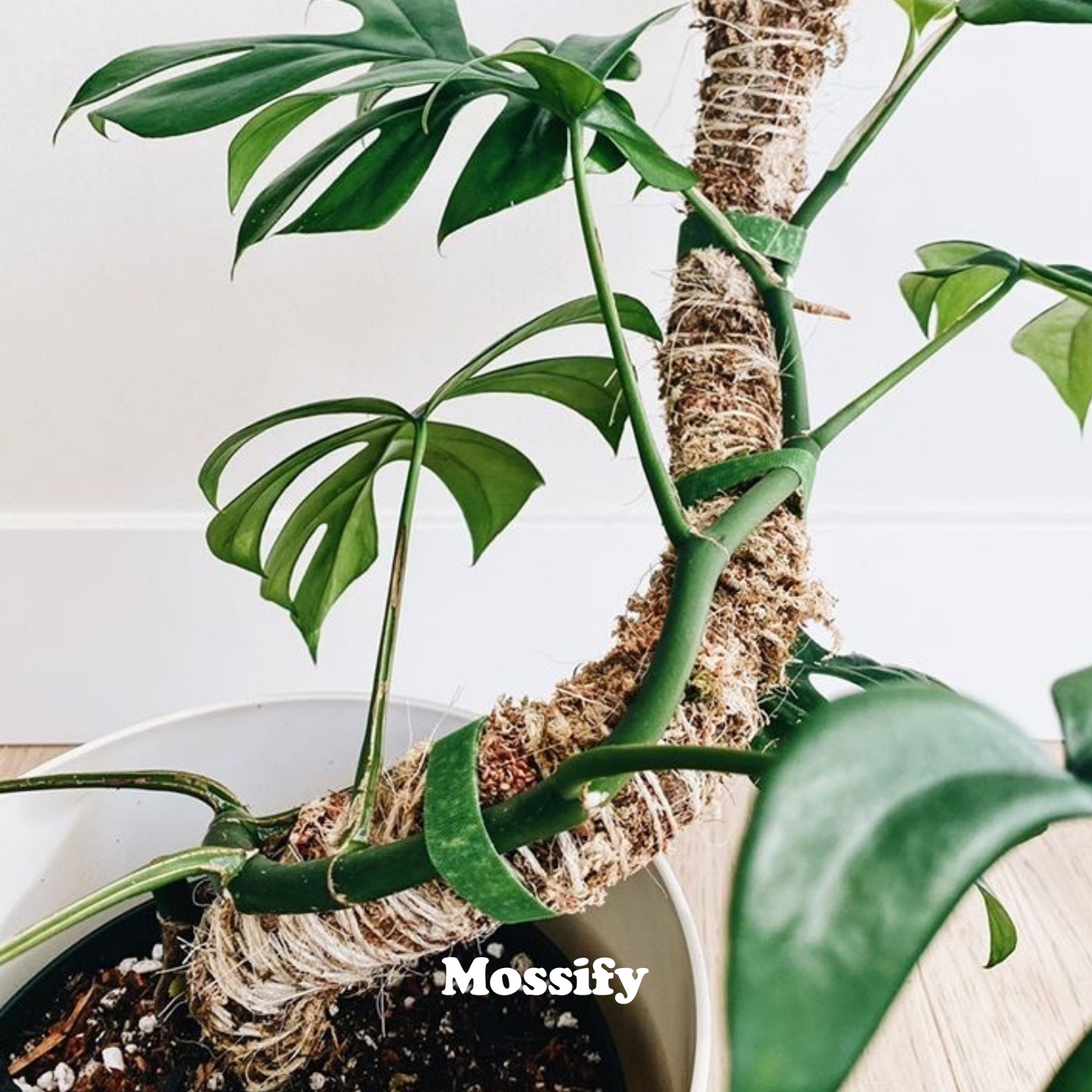 Mossify 16" Bendable Moss Pole