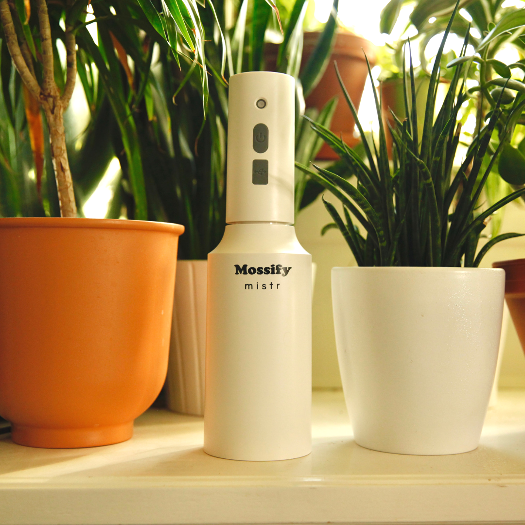 Mossify Plant Mister