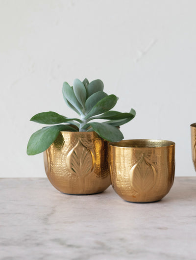 6" Round Debossed Metal Planter, Gold