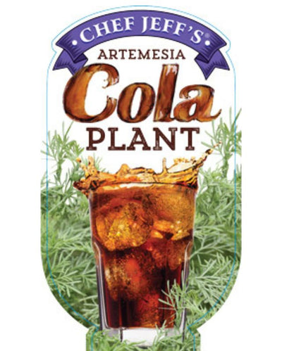 HERB - Artemisia - Cola Plant