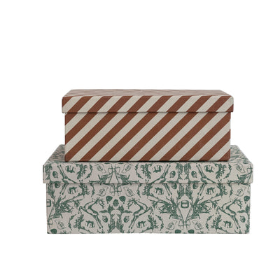 12" Printed Recycled Paper Gift Box, Cream & Green