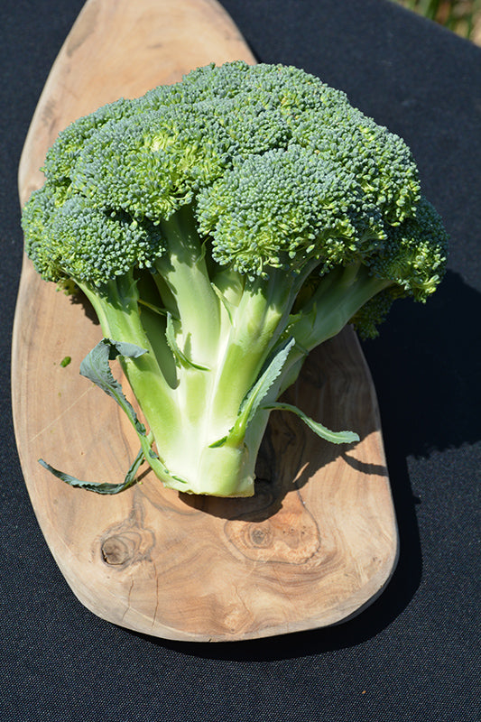 VEG - Broccoli