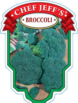 VEG - Broccoli