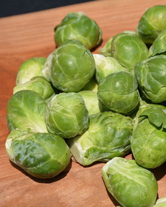 VEG - Brussels Sprouts