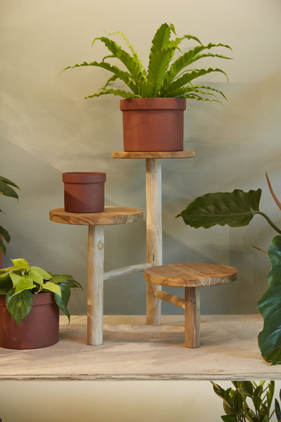 Obispo Wooden Plant Stand