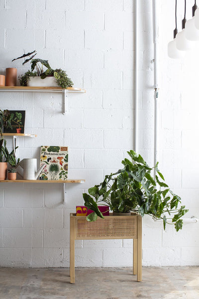 Kolyma Wood Plant Stand