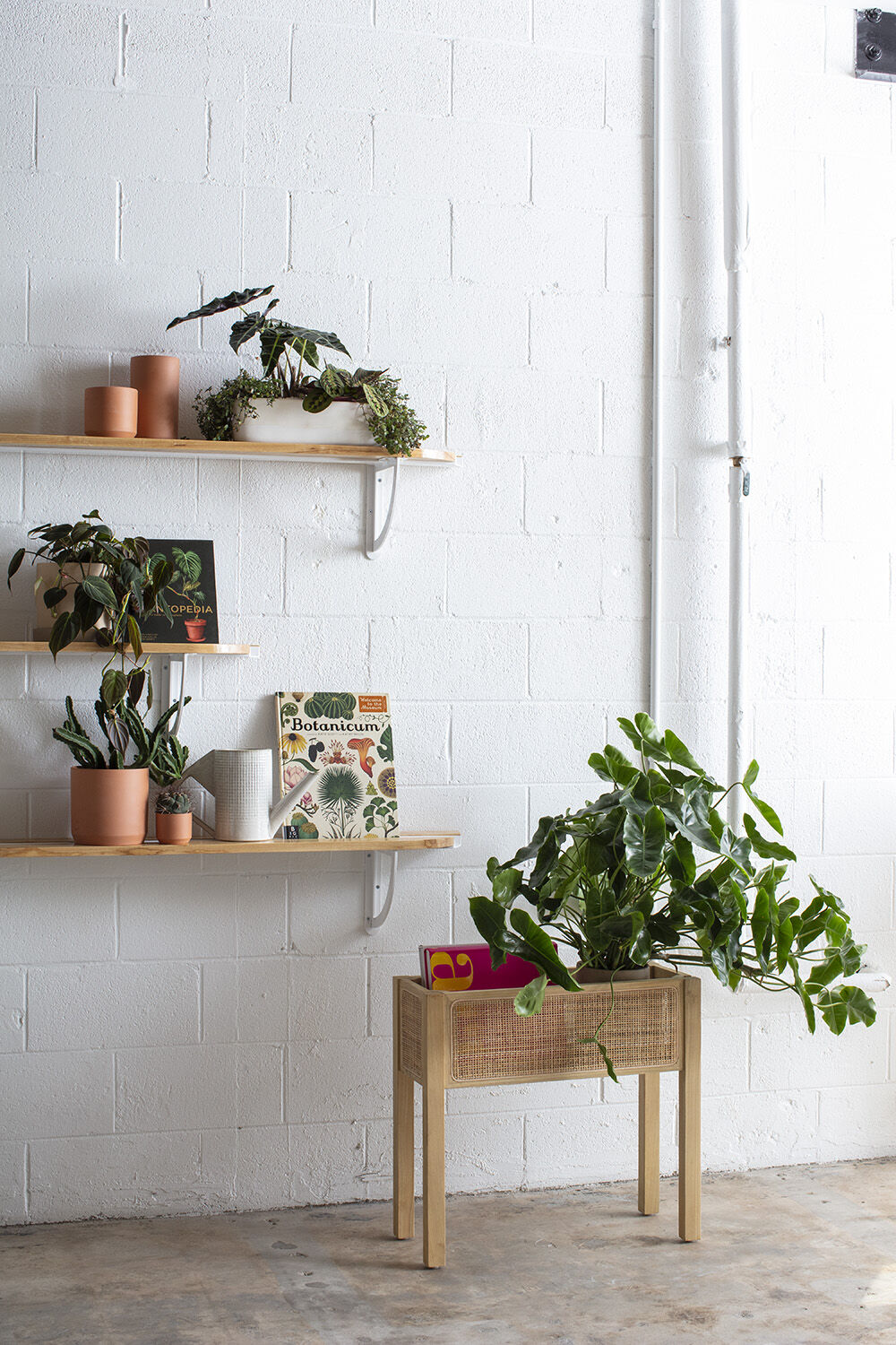 Kolyma Wood Plant Stand