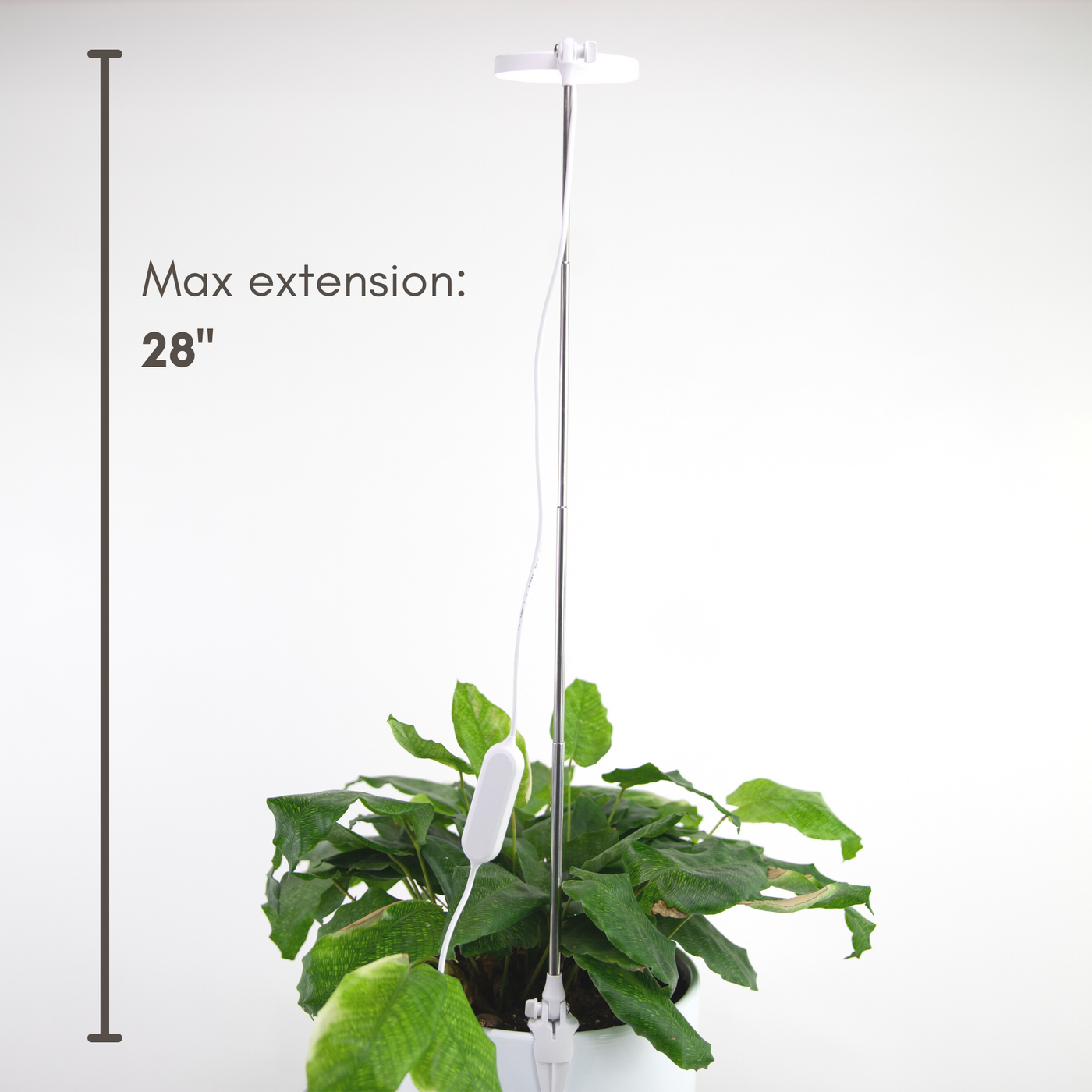 Mossify 28" Adjustable LED Plant Light, Black