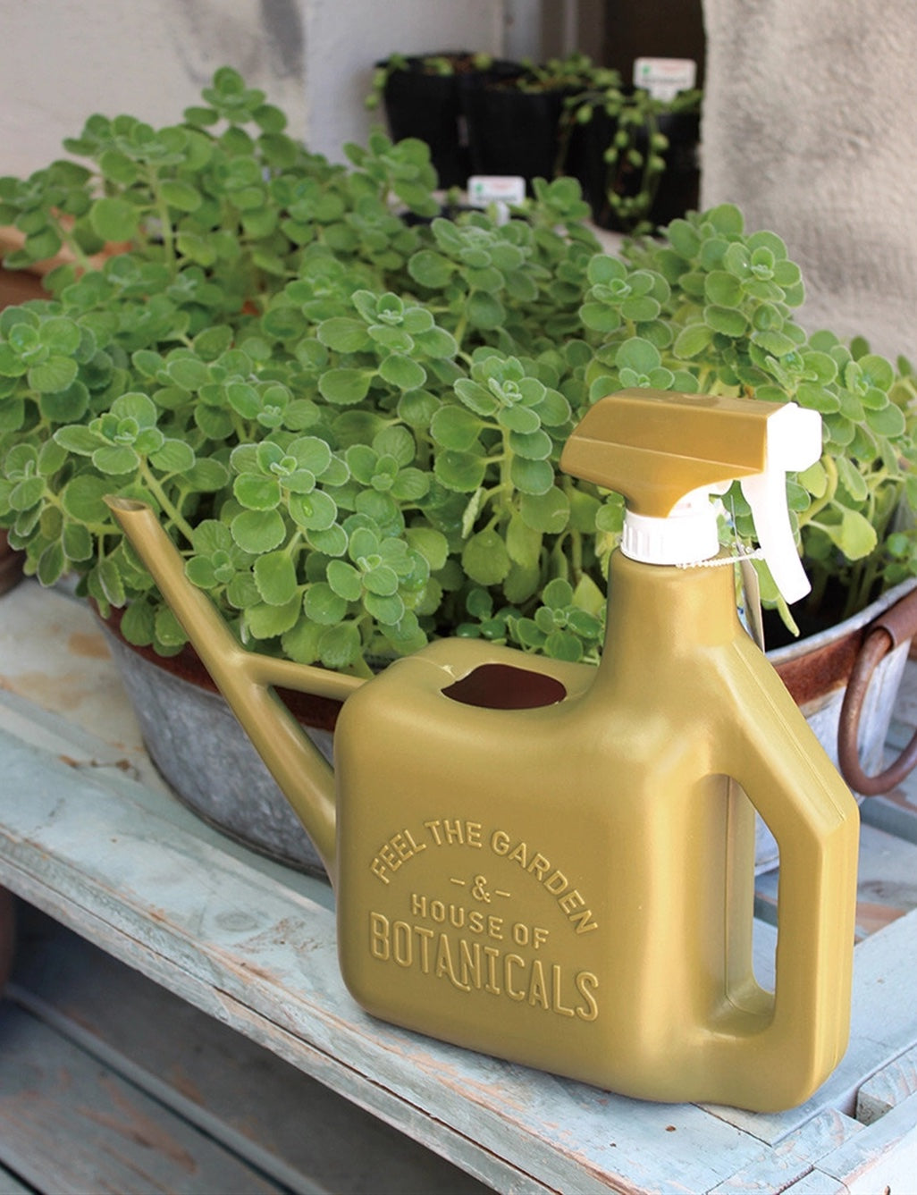 Olive 2-in-1 Watering Can