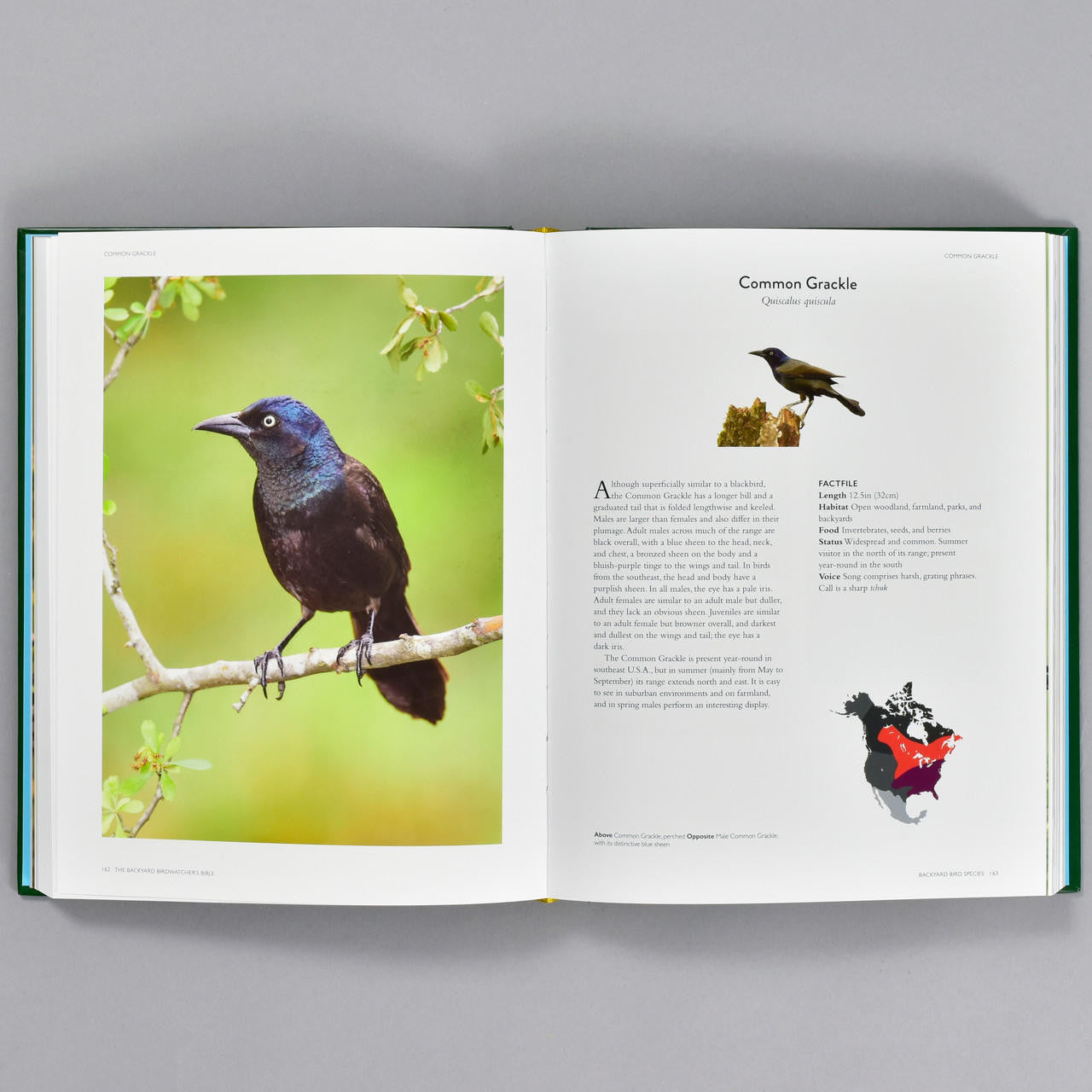 Backyard Birdwatcher's Bible