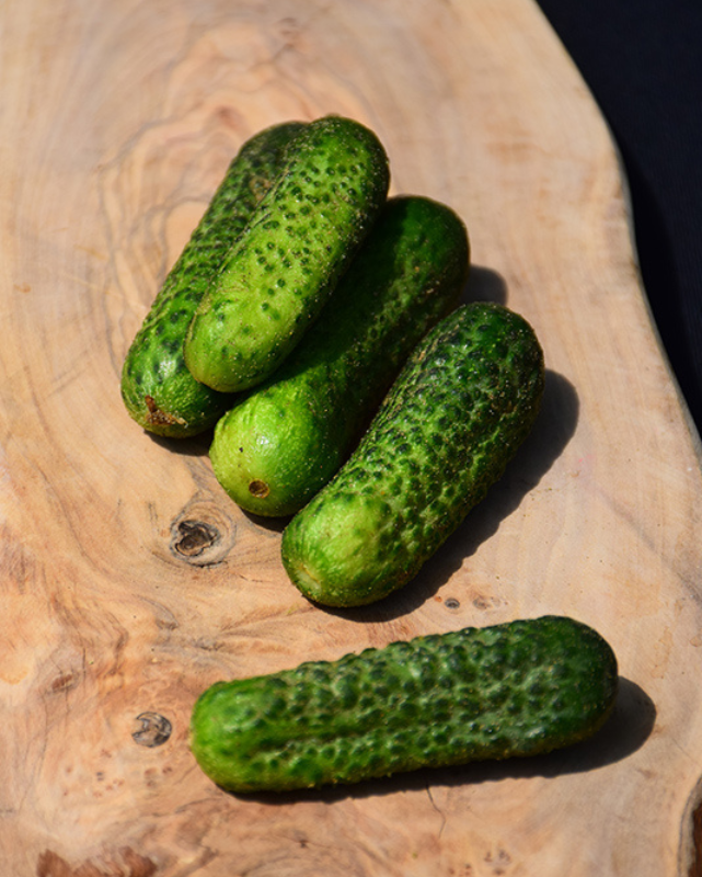 VEG - Cucumber - Gherkin Pickle