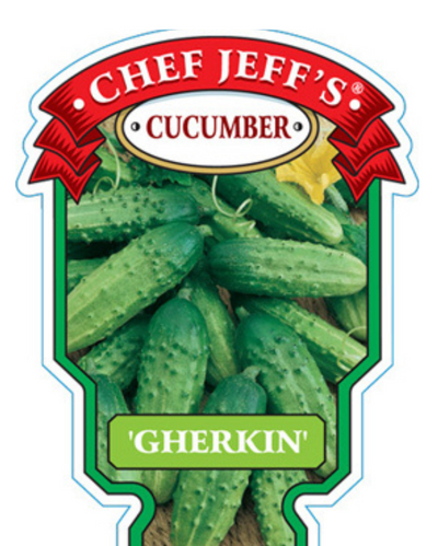 VEG - Cucumber - Gherkin Pickle