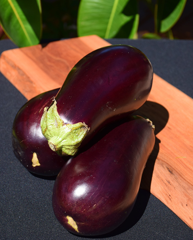 VEG - Eggplant - Classic