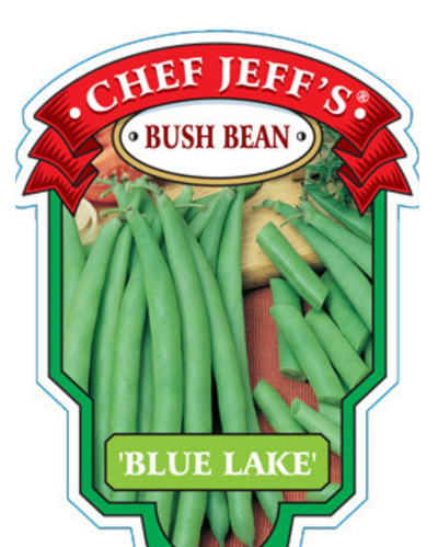 VEG - Bean - 'Blue Lake Bush' Bean