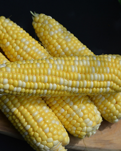 VEG - Corn - Chubby Checkers