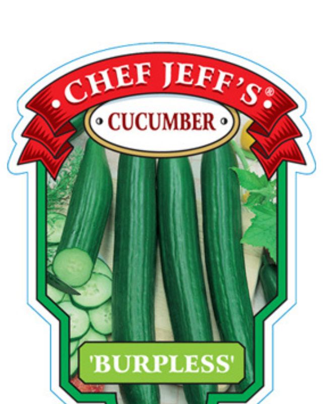 VEG - Cucumber - Burpless