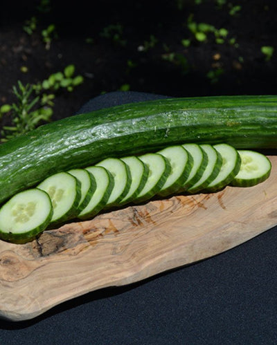 VEG - Cucumber - Burpless