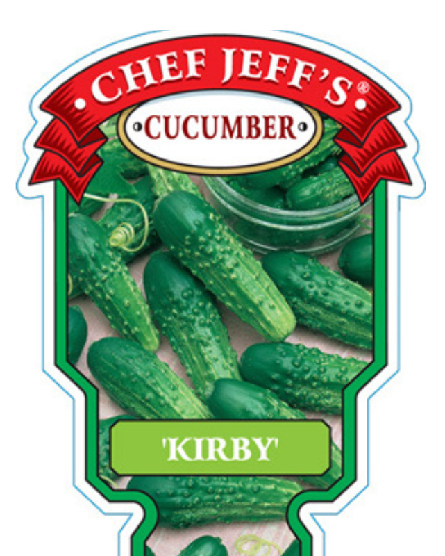 VEG - Cucumber - Kirby Pickle