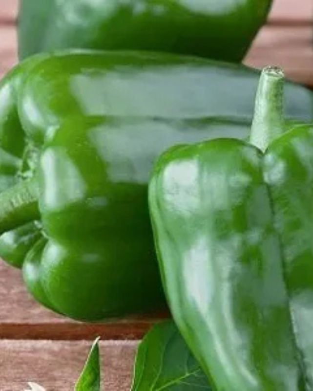 VEG - Pepper Prem. - Big Bertha