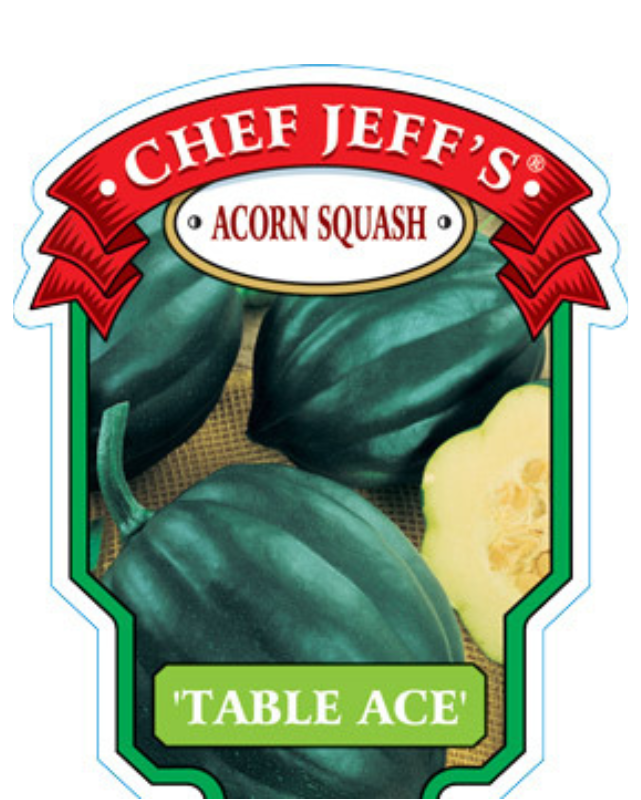 VEG - Squash - Acorn