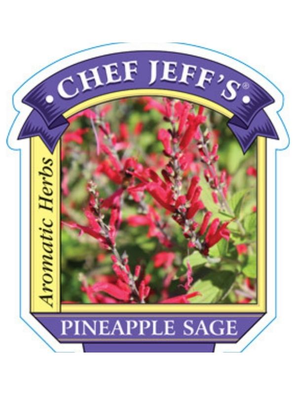 HERB - Sage - Pineapple