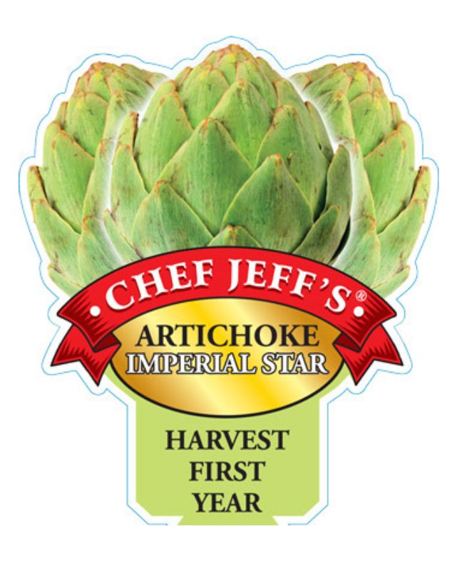 VEG - Artichoke 'Imperial Star'