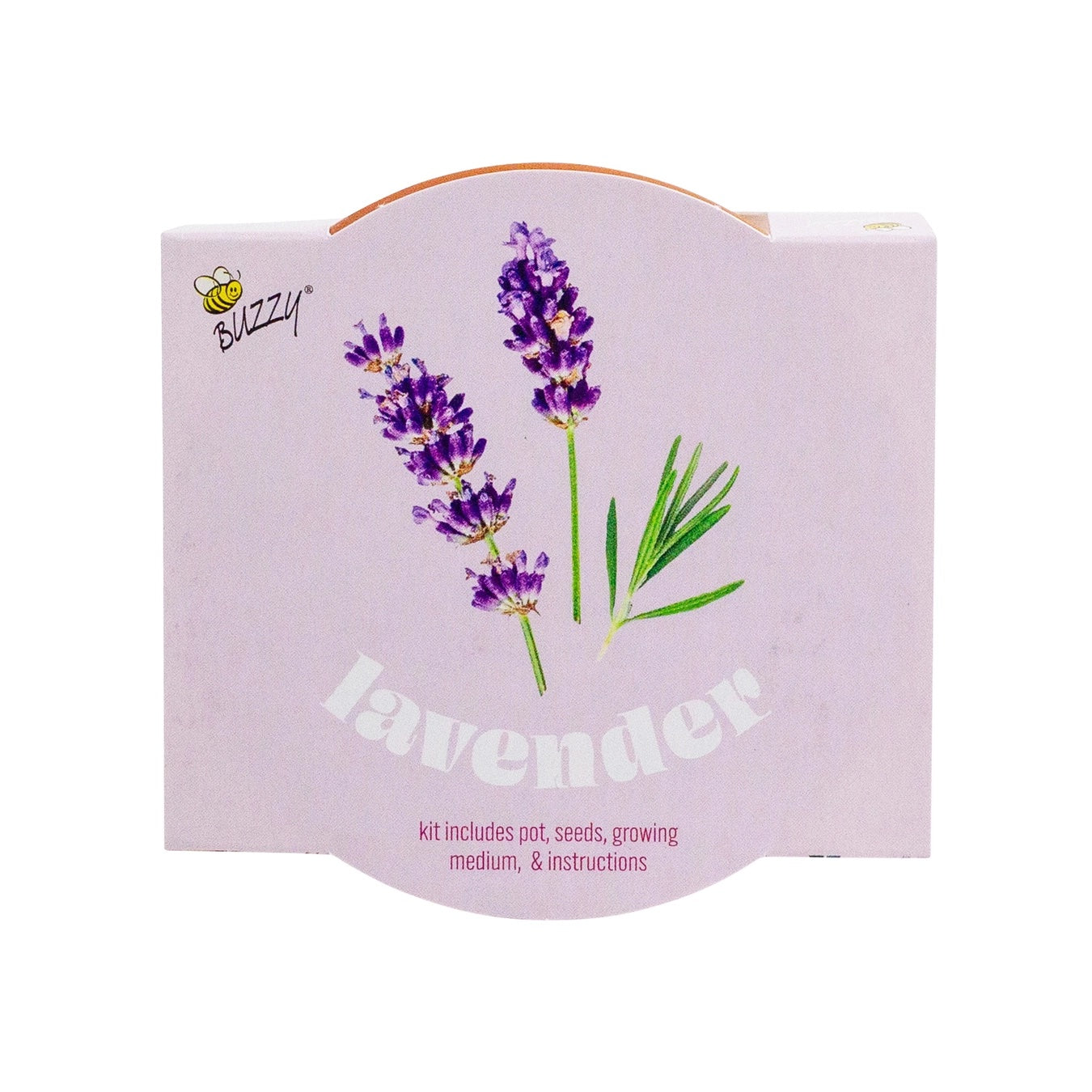 Organic Lavender Terracotta Grow Kit