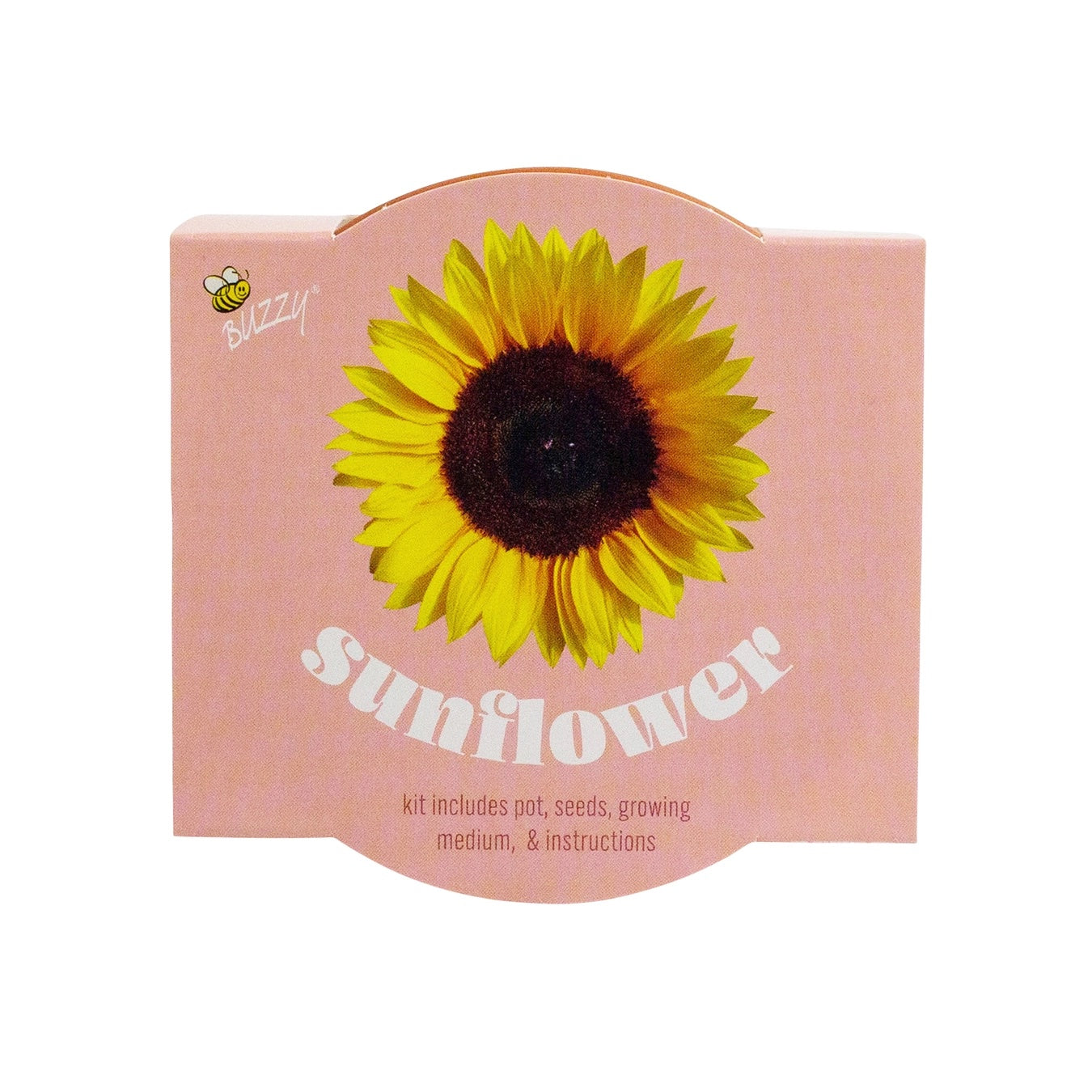 Organic Sunflower Terracotta Grow Kit