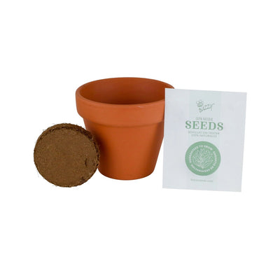 Organic Sunflower Terracotta Grow Kit