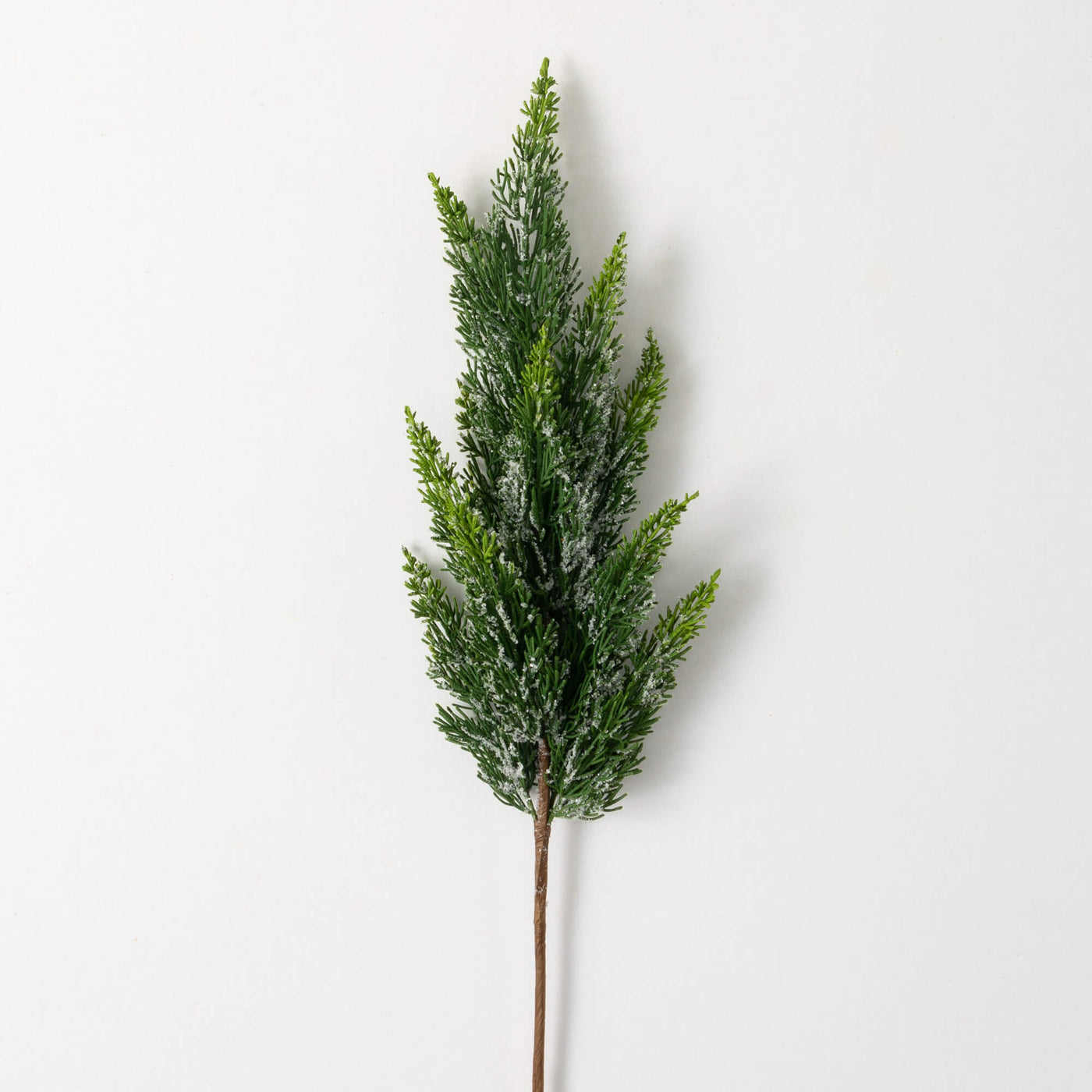 Frosted Green Cedar Stem, 30"