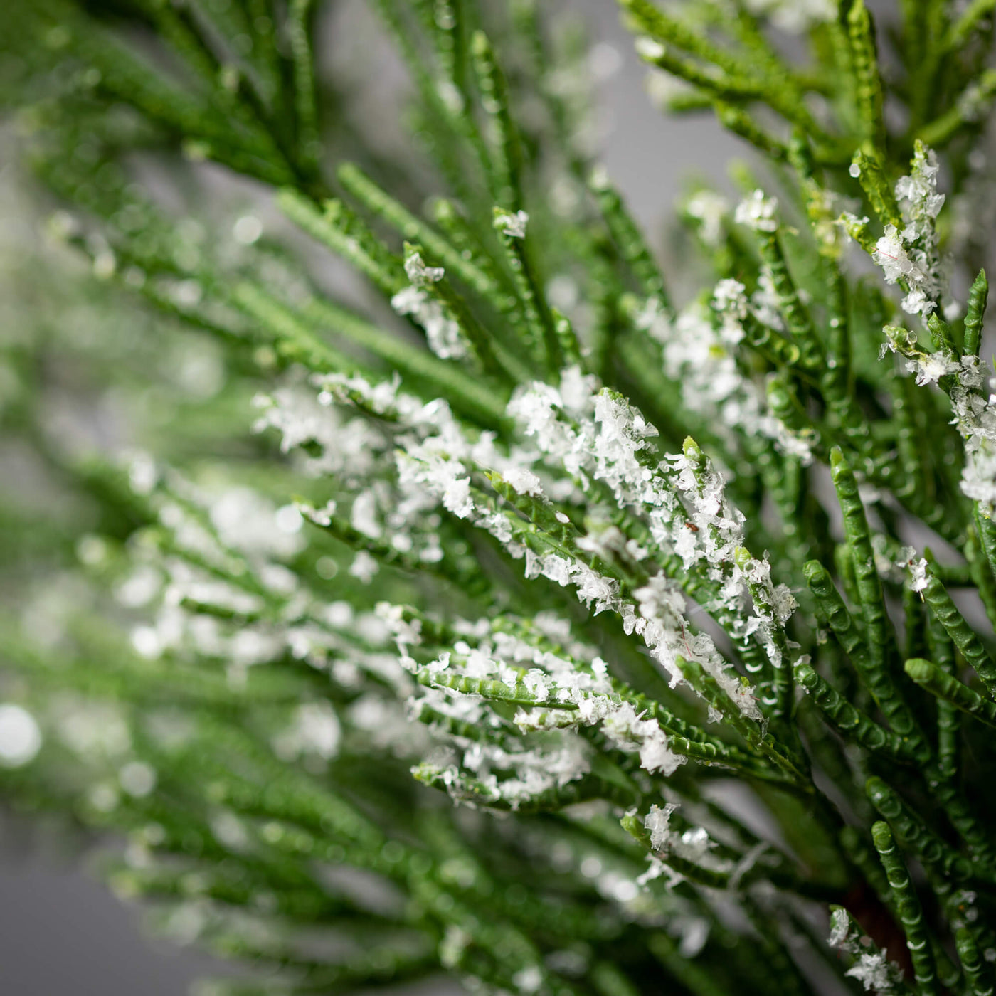 Frosted Green Cedar Stem, 30"