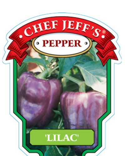 VEG - Pepper - Lilac