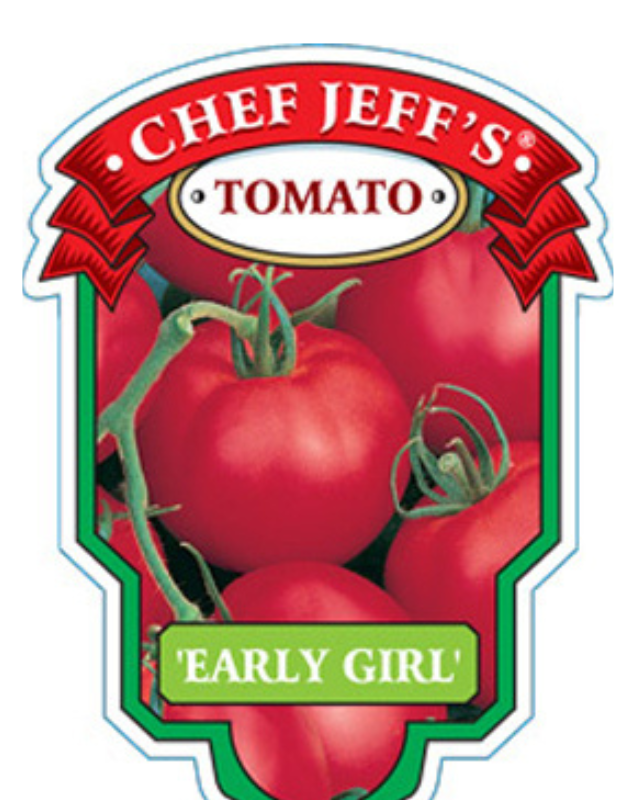 VEG - Tomato - Early Girl