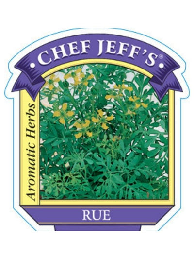 HERB - Rue