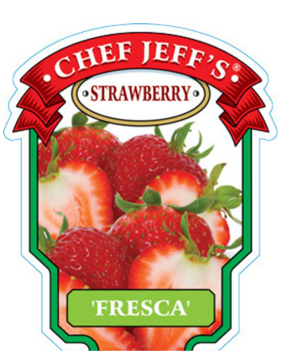 FRUIT - Strawberry - Fresca