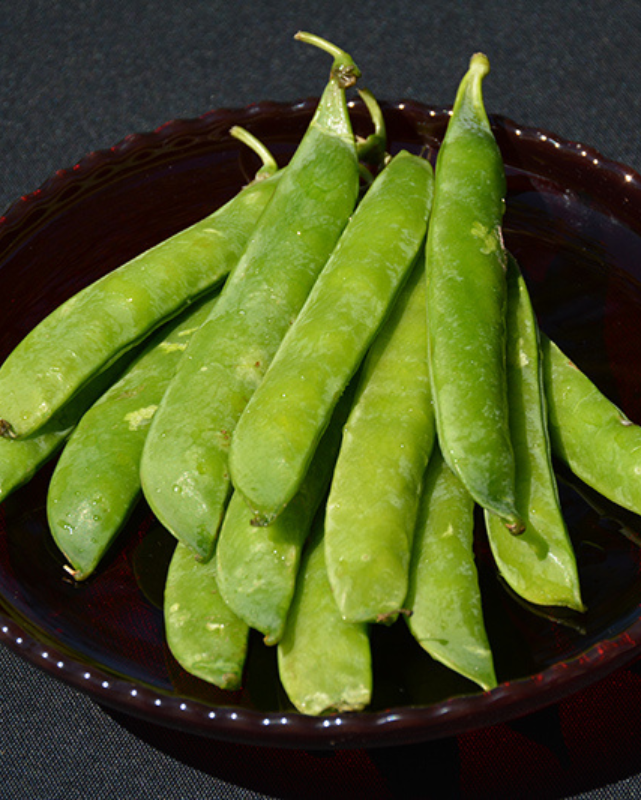 Wok Stars™ - Snow Pea