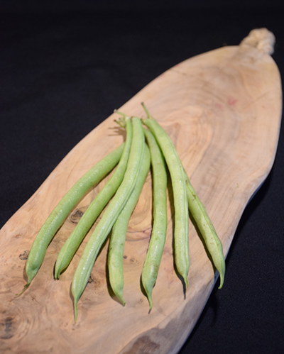 VEG - Bean - 'Mascotte' Dwarf Bush Bean