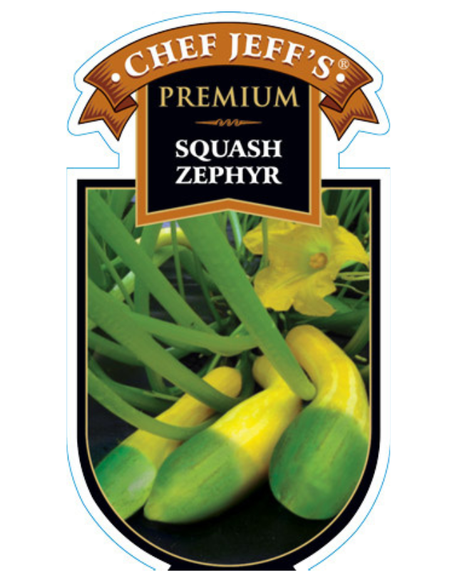 VEG - Squash Prem. - Zephyr (Summer)