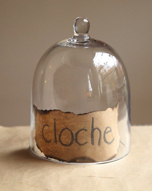 Glass Cloche