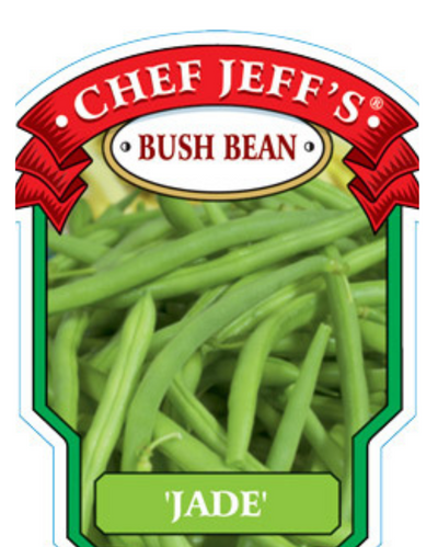 VEG - Bean - 'Jade' Bush Bean