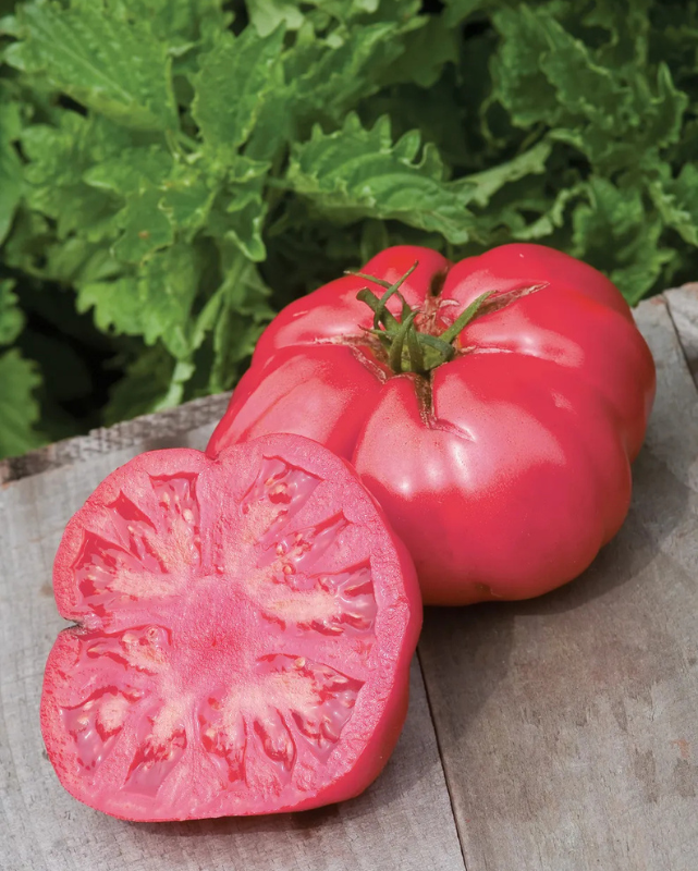 VEG - Tomato Heir. - Caspian Pink