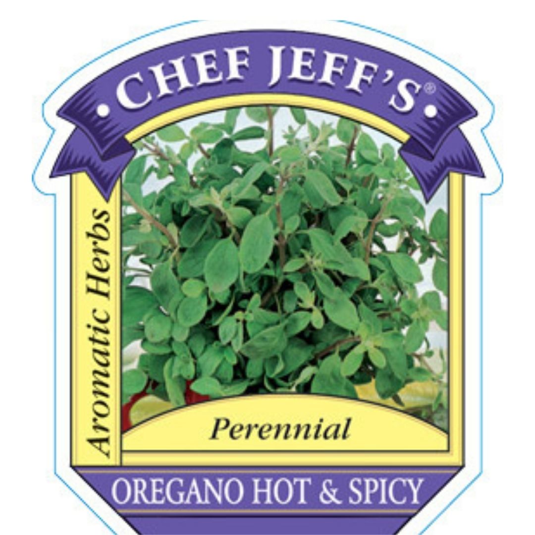 HERB - Oregano - Hot & Spicy